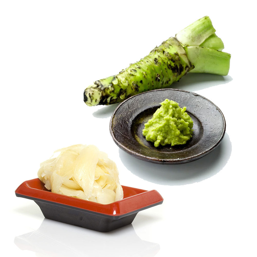 Sushi Ginger & Wasabi KANEYAMA